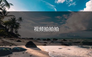 视频拍拍拍