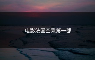 电影法国空乘第一部