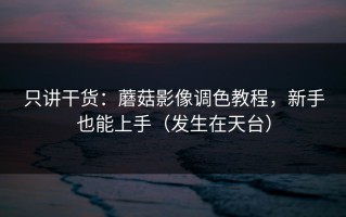 只讲干货：蘑菇影像调色教程，新手也能上手（发生在天台）