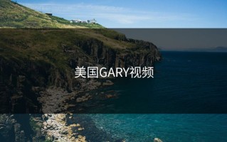 美国GARY视频