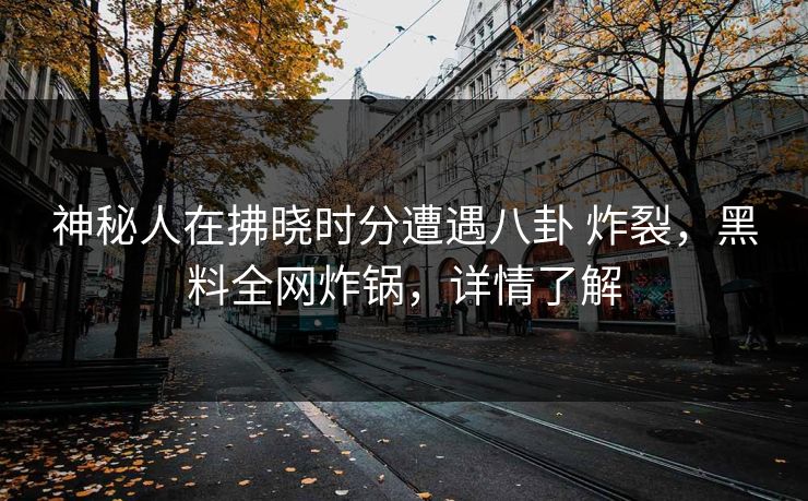 神秘人在拂晓时分遭遇八卦 炸裂,黑料全网炸锅,详情了解 神秘人在拂晓时分遭遇八卦 炸裂,黑料全网炸锅,详情了解