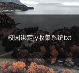 校园绑定jy收集系统txt