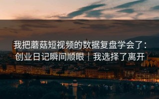 我把蘑菇短视频的数据复盘学会了：创业日记瞬间顺眼｜我选择了离开