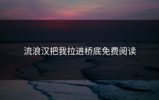 流浪汉把我拉进桥底免费阅读
