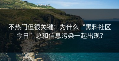 不热门但很关键：为什么“黑料社区今日”总和信息污染一起出现？