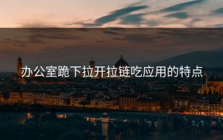 办公室跪下拉开拉链吃应用的特点