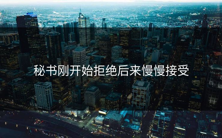 秘书刚开始拒绝后来慢慢接受-第1张图片-17c最新入口 - 高清日韩影视大全